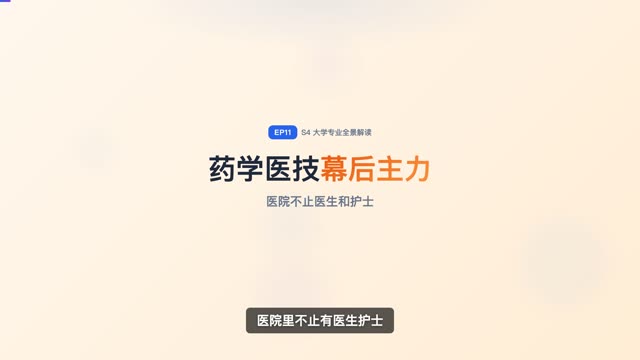 物理类：理学中的基础学科